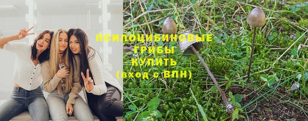 соль ск Аркадак